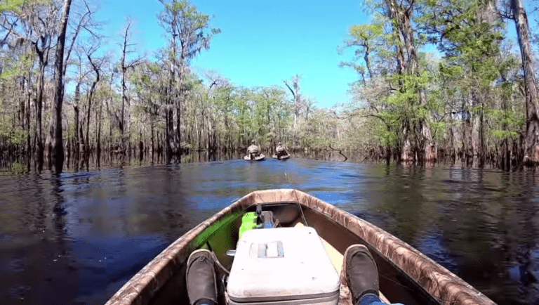 Little Pee Dee River Named One of America’s Most Endangered Rivers® of 2024