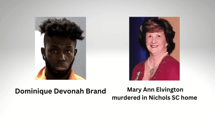 Dominique Devonah Brand