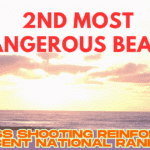 Mass Shooting