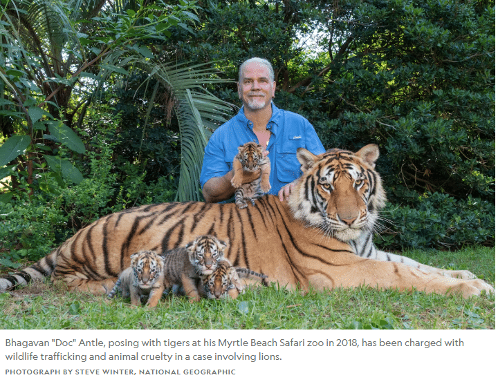 Tiger King
